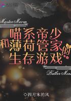 阿赫迈德王子历险记