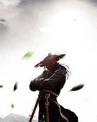 极限武尊幻月